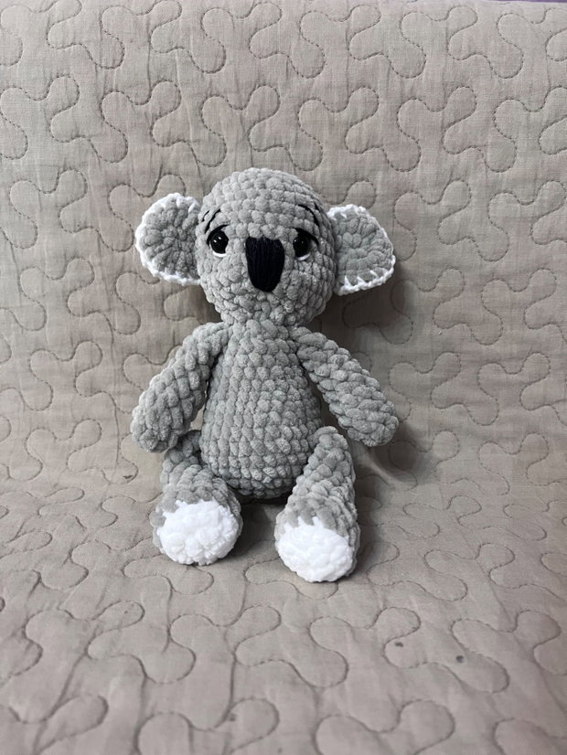Urs koala