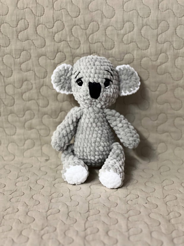 Urs koala