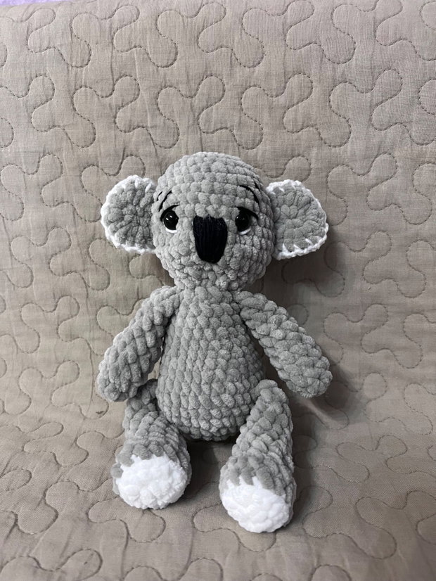 Urs koala