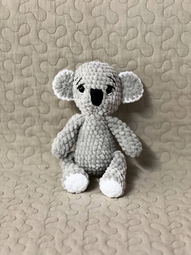 Urs koala