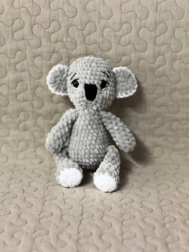Urs koala