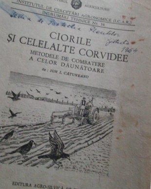 1953   Ciorile si alte corvidee
