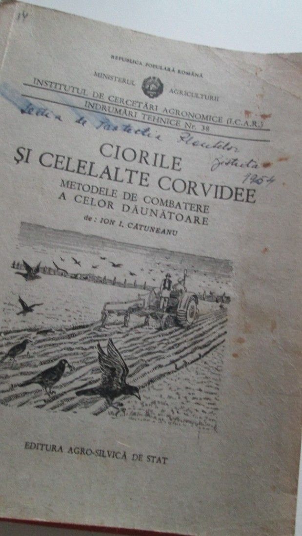 1953 Ciorile si alte corvidee