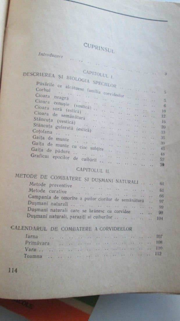 1953 Ciorile si alte corvidee