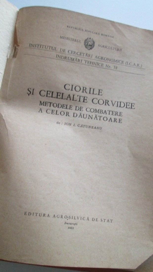 1953 Ciorile si alte corvidee
