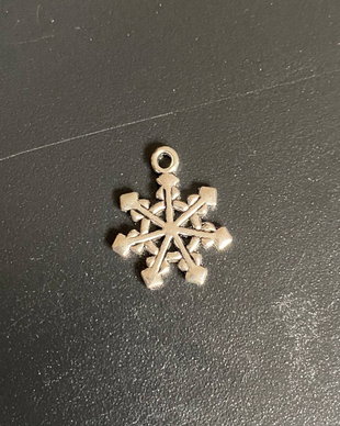 Charm fulg de zapada