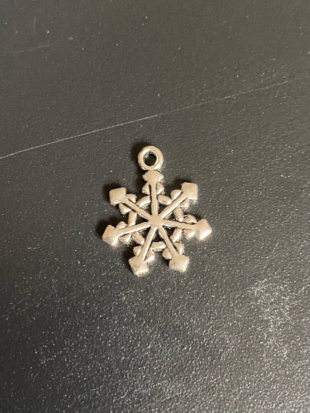 Charm fulg de zapada