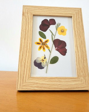 Tablou flori presate natural