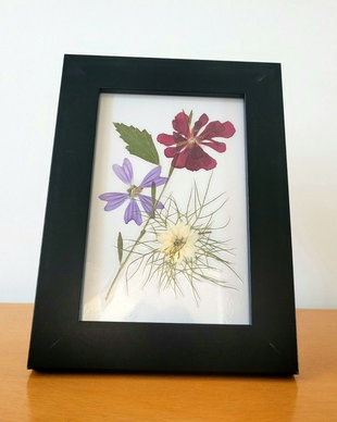 Tablou flori presate natural