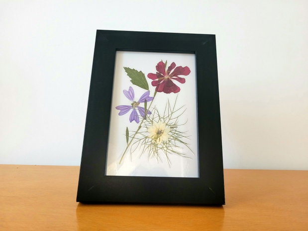 Tablou flori presate natural