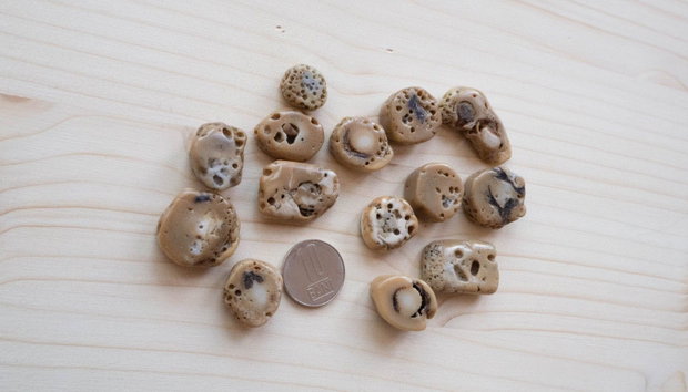 Mărgele din coral fosil natural nuggets neregulate