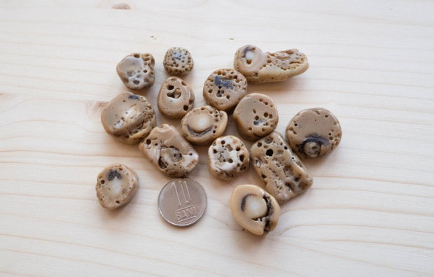 Mărgele din coral fosil natural nuggets neregulate
