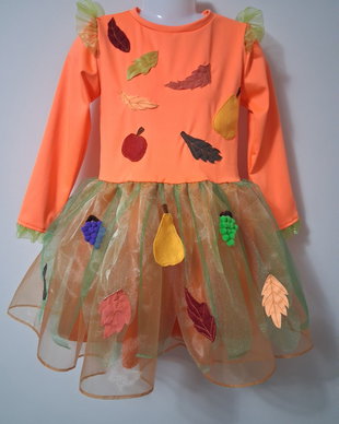 Rochita fetite costum toamna
