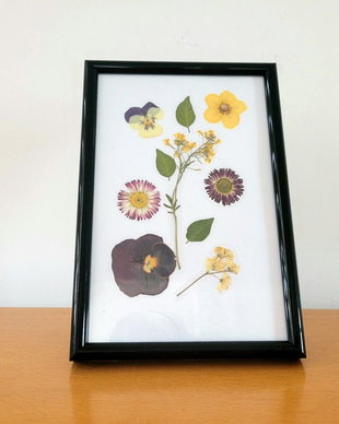 Tablou flori presate natural