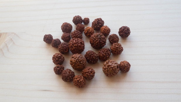 Lot mărgele naturale Rudraksha diferite dimensiuni