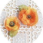 set brose flori galben aramii