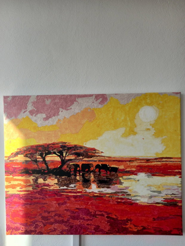Pictura pe canvas