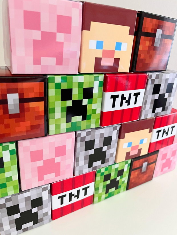 Cutii cub Minecraft 6 modele