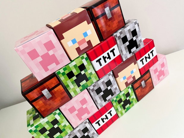 Cutii cub Minecraft 6 modele