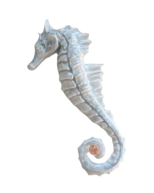 BROSA CALUT DE MARE