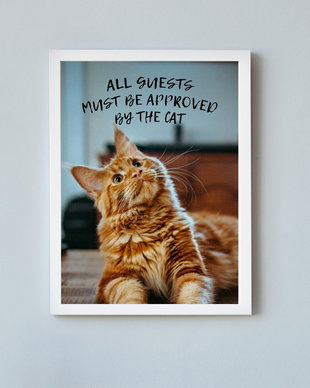 Rama foto pisică All guests must be approved by the cat