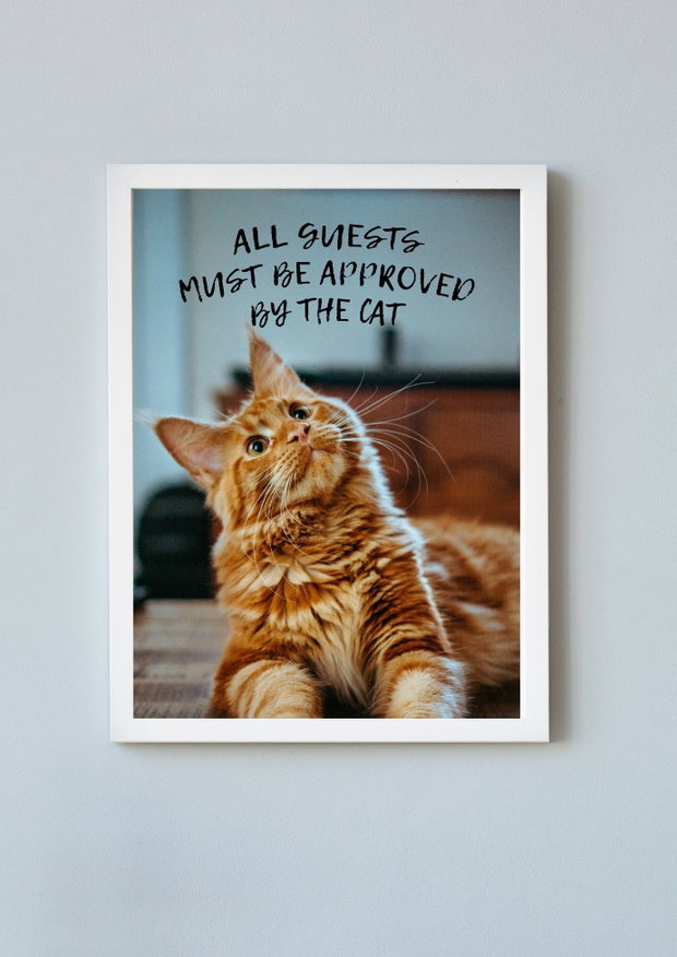 Rama foto pisică All guests must be approved by the cat