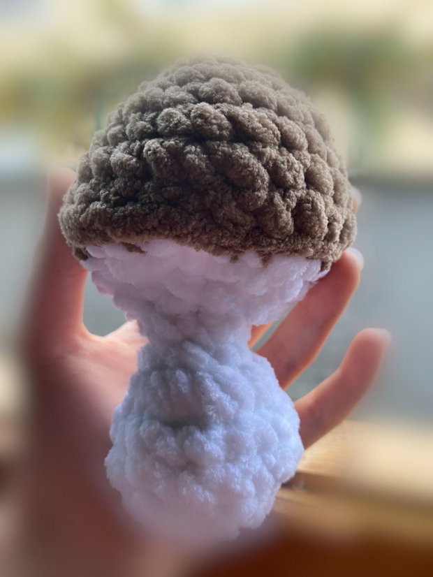 Ciupercuță Pop it handmade