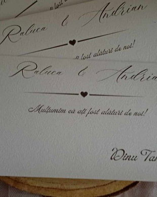Plicuri pentru darul de nuntă