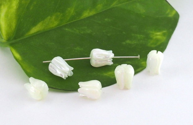 Sidef 7.5x6mm (1)