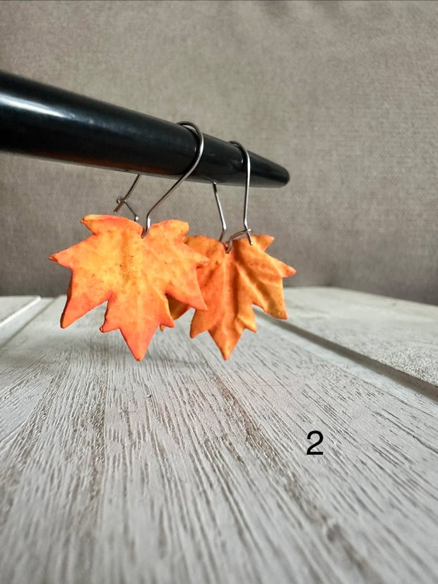 Cercei frunza toamna