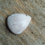 Cabochon scolecit, 24x20x6 mm