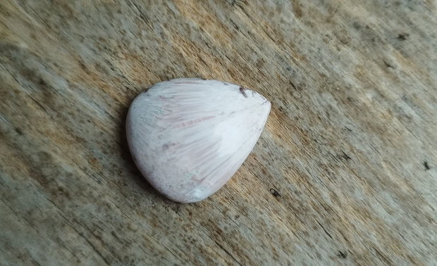 Cabochon scolecit, 24x20x6 mm