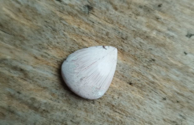 Cabochon scolecit, 24x20x6 mm