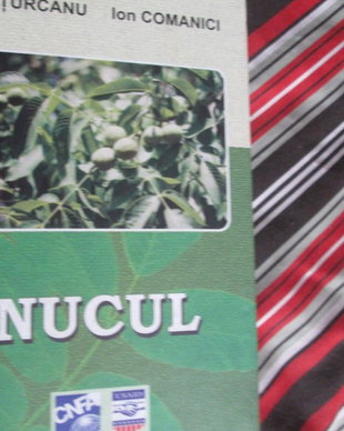2004 carte Nucul