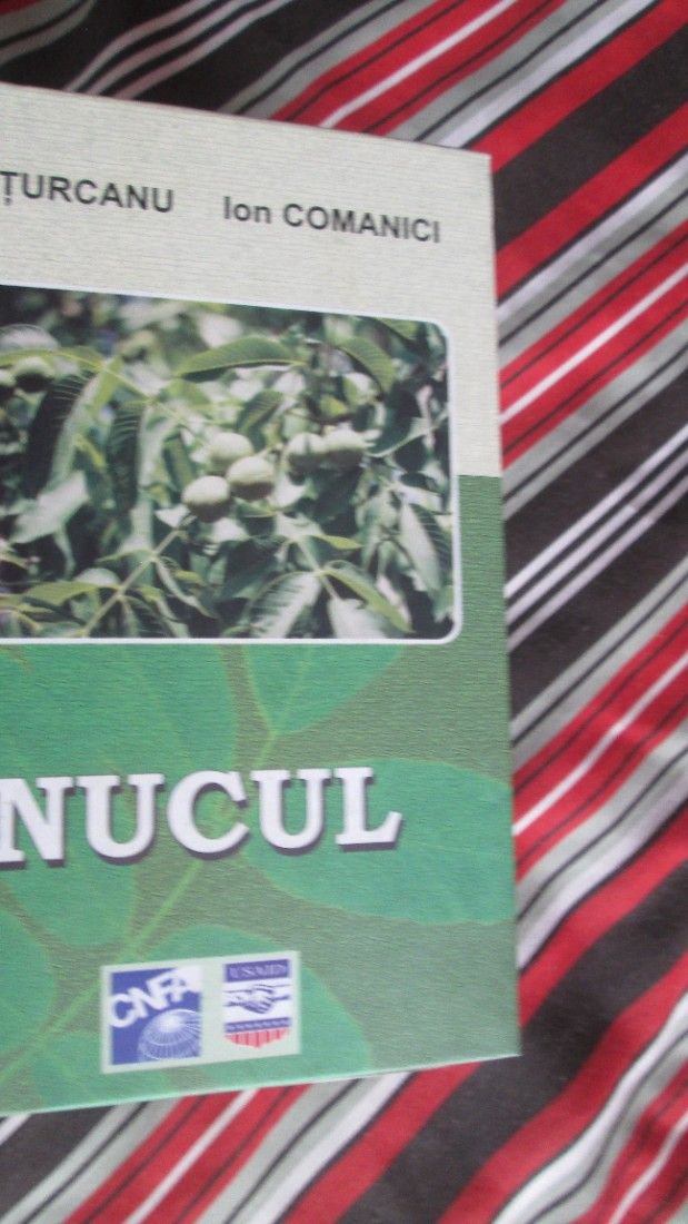 2004 carte Nucul