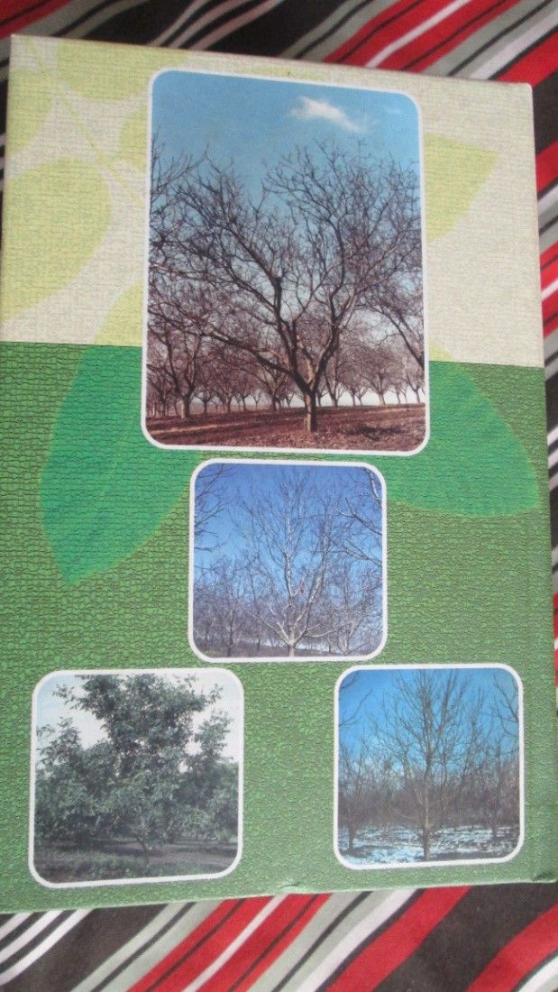 2004 carte Nucul