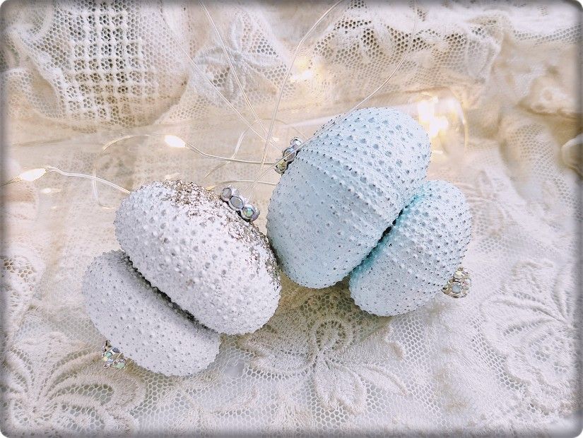 Mărturii nuntă din arici de mare naturali, decorațiuni handmade cu culoare personalizată