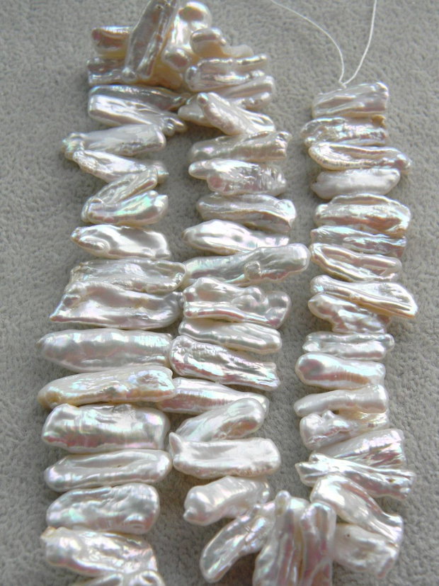 Perle Biwa (CUI)