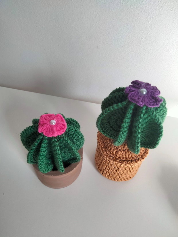 Cactus