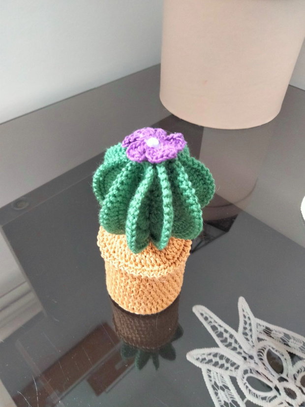 Cactus