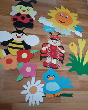 Decoratiune pavoazare clasa