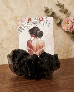 Elastic de păr elegant din organza neagră