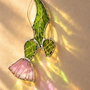 Ciulin